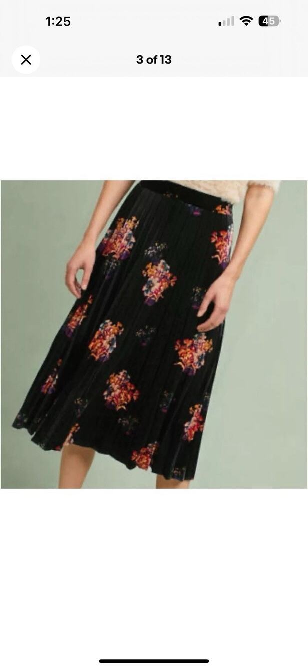 Maeve Anthropologie Floral Velvet Pleated Midi Skirt Whimsigoth Womens Sz Lg